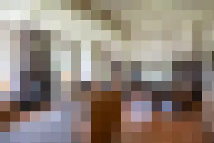 Beneden Veensloot 20 Meeden thumbnail 31