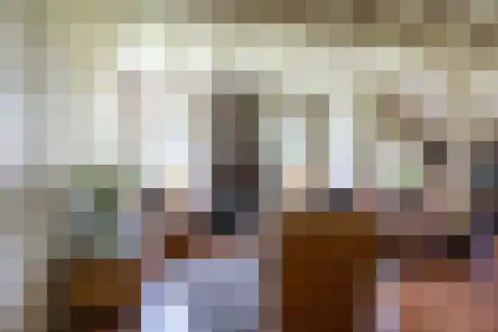 Beneden Veensloot 20 Meeden thumbnail 32
