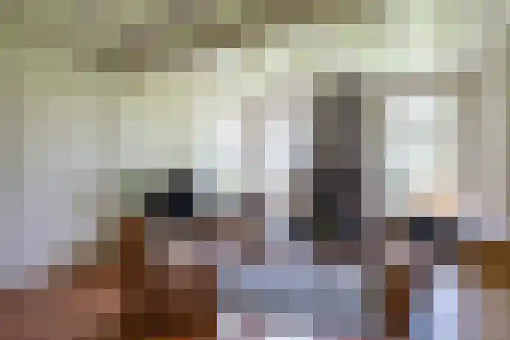 Beneden Veensloot 20 Meeden thumbnail 34