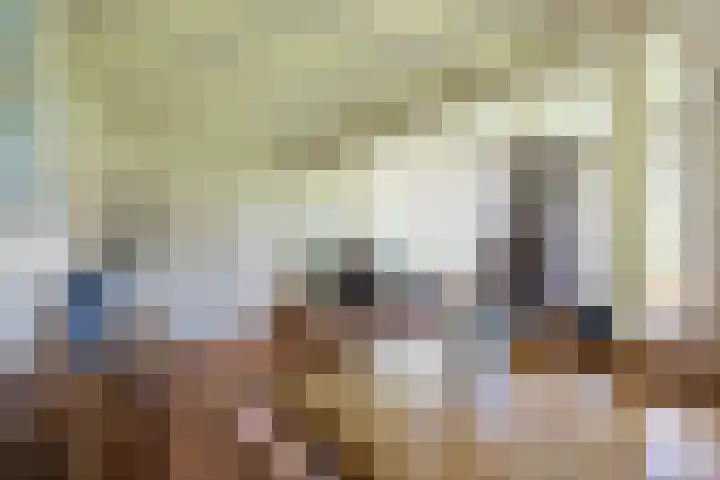 Beneden Veensloot 20 Meeden thumbnail 37