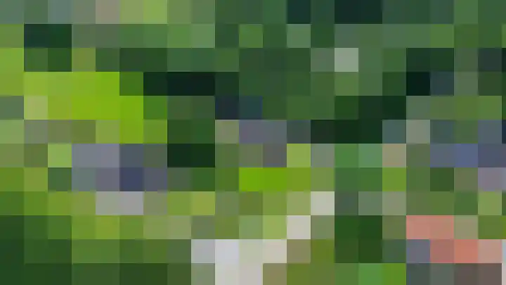 Beneden Veensloot 20 Meeden thumbnail 4