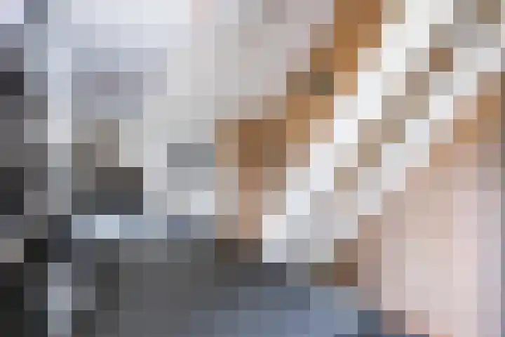 Beneden Veensloot 20 Meeden thumbnail 42