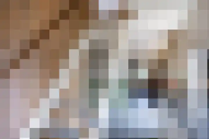 Beneden Veensloot 20 Meeden thumbnail 43