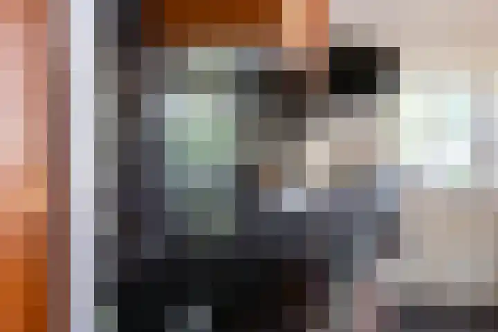 Beneden Veensloot 20 Meeden thumbnail 47