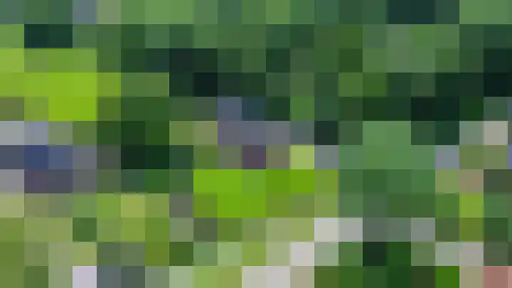 Beneden Veensloot 20 Meeden thumbnail 5