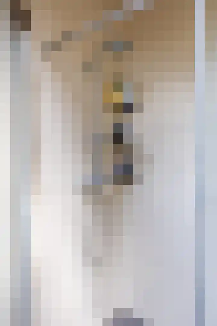Beneden Veensloot 20 Meeden thumbnail 57
