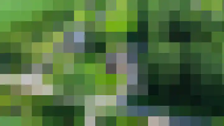 Beneden Veensloot 20 Meeden thumbnail 6