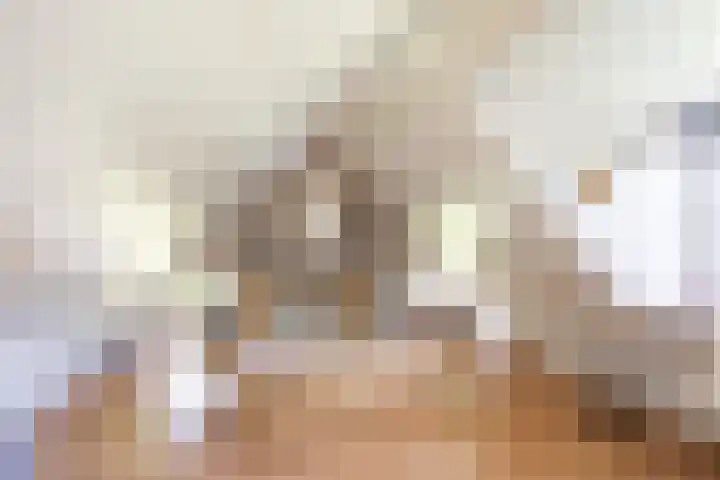 Beneden Veensloot 20 Meeden thumbnail 62