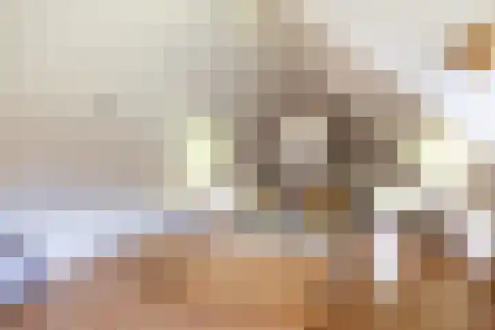 Beneden Veensloot 20 Meeden thumbnail 63