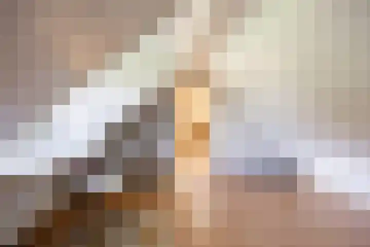 Beneden Veensloot 20 Meeden thumbnail 65