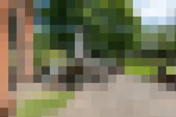 Beneden Veensloot 20 Meeden thumbnail 66