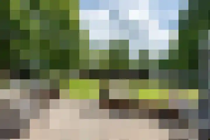 Beneden Veensloot 20 Meeden thumbnail 68