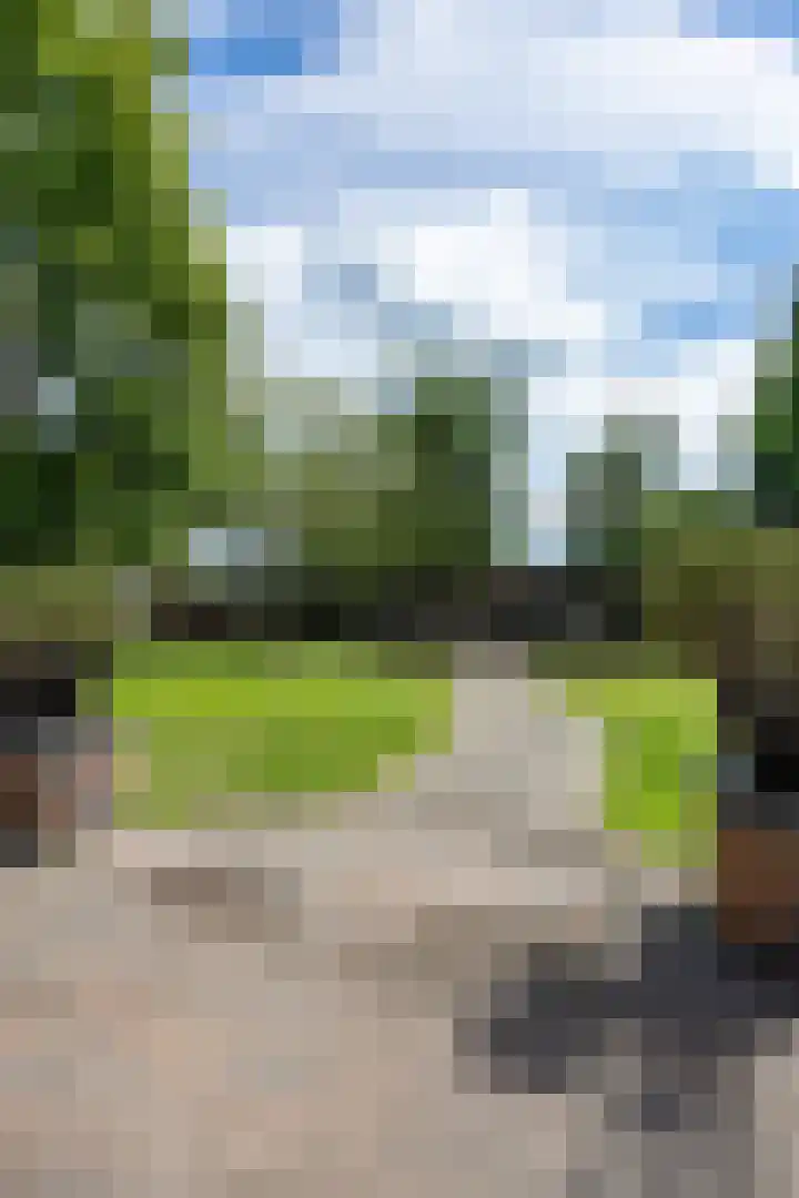 Beneden Veensloot 20 Meeden thumbnail 69