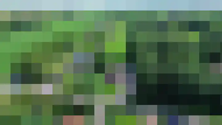 Beneden Veensloot 20 Meeden thumbnail 7
