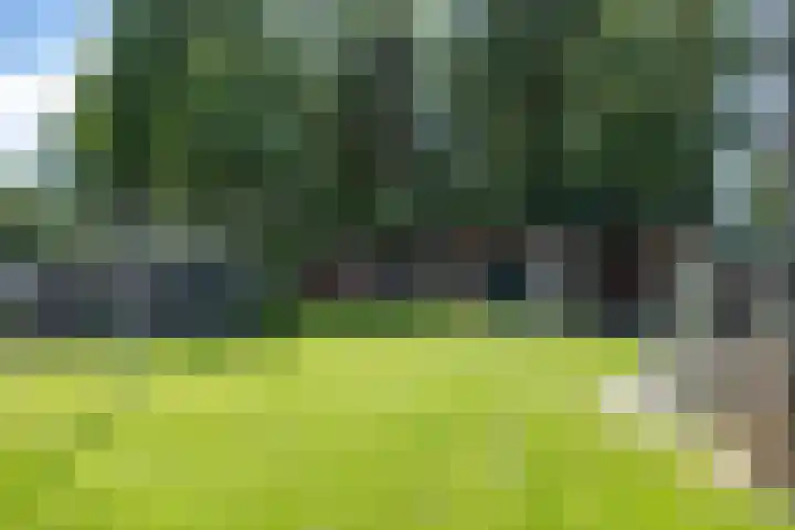 Beneden Veensloot 20 Meeden thumbnail 70