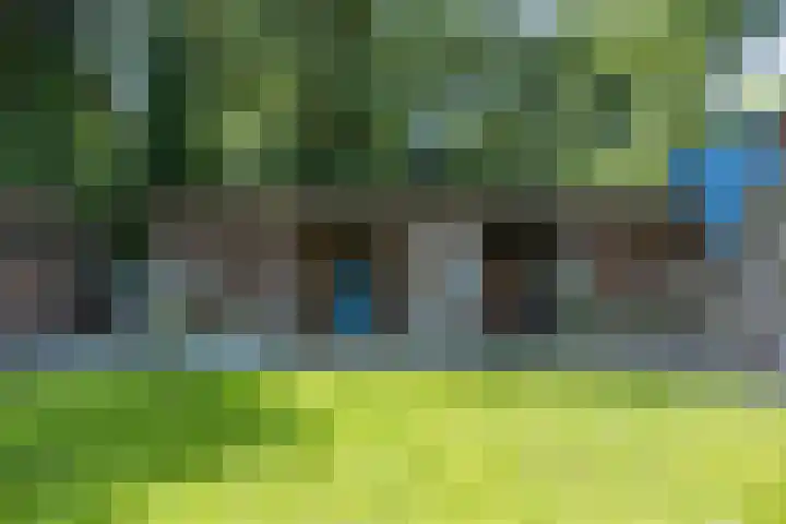 Beneden Veensloot 20 Meeden thumbnail 72