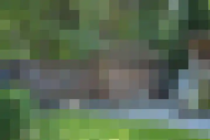 Beneden Veensloot 20 Meeden thumbnail 73