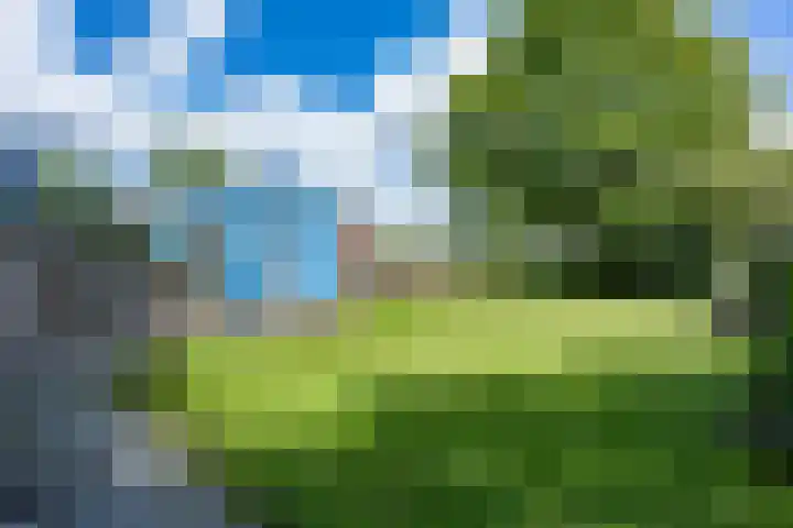 Beneden Veensloot 20 Meeden thumbnail 74