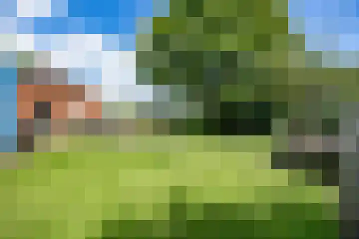 Beneden Veensloot 20 Meeden thumbnail 77