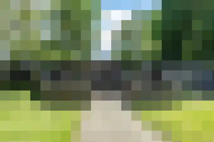Beneden Veensloot 20 Meeden thumbnail 78
