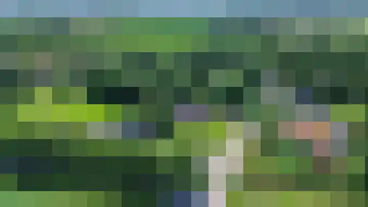 Beneden Veensloot 20 Meeden thumbnail 8