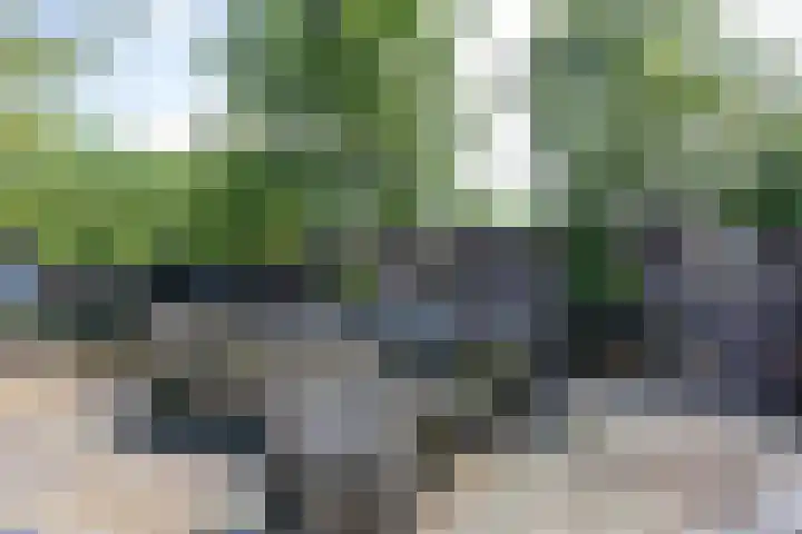 Beneden Veensloot 20 Meeden thumbnail 80