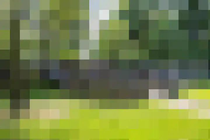 Beneden Veensloot 20 Meeden thumbnail 81