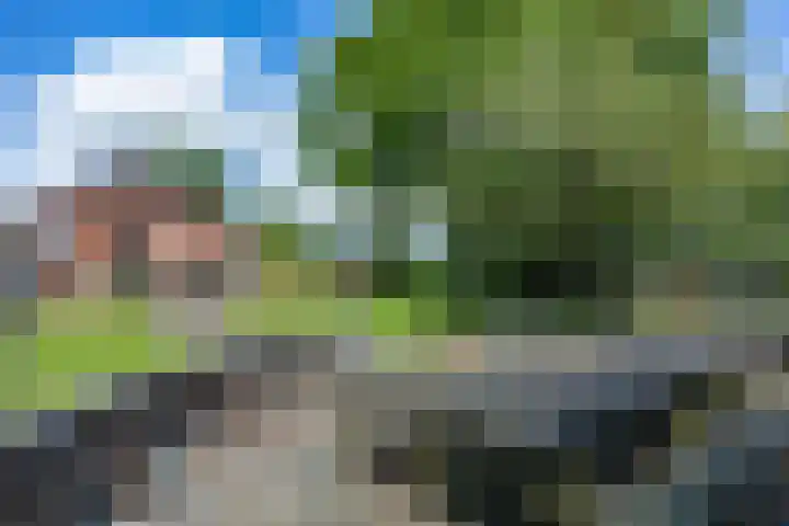 Beneden Veensloot 20 Meeden thumbnail 82