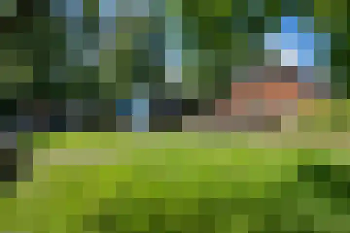 Beneden Veensloot 20 Meeden thumbnail 86