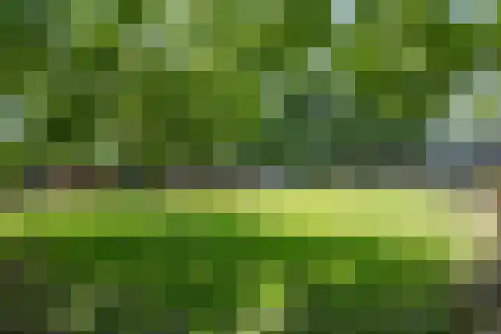 Beneden Veensloot 20 Meeden thumbnail 87