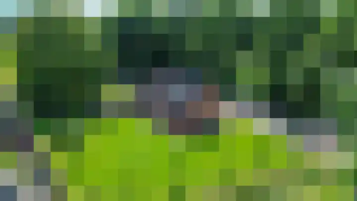 Beneden Veensloot 20 Meeden thumbnail 9