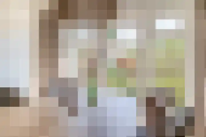 Beneden Veensloot 9 Meeden thumbnail 11