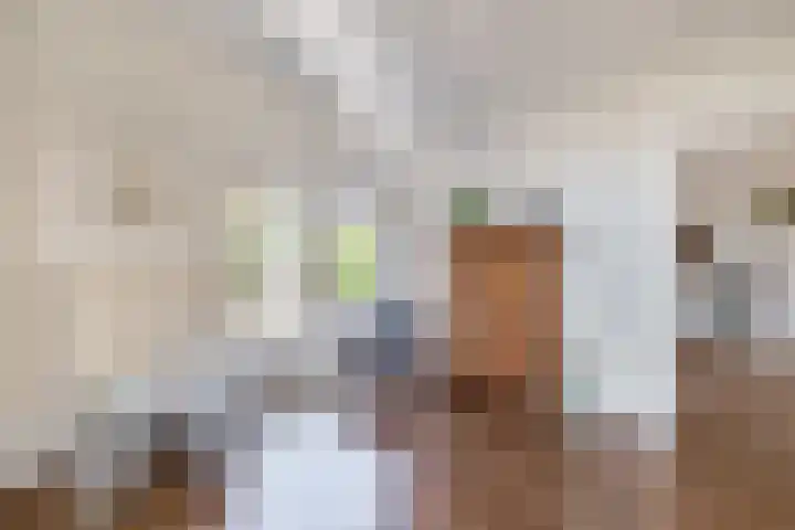 Beneden Veensloot 9 Meeden thumbnail 12