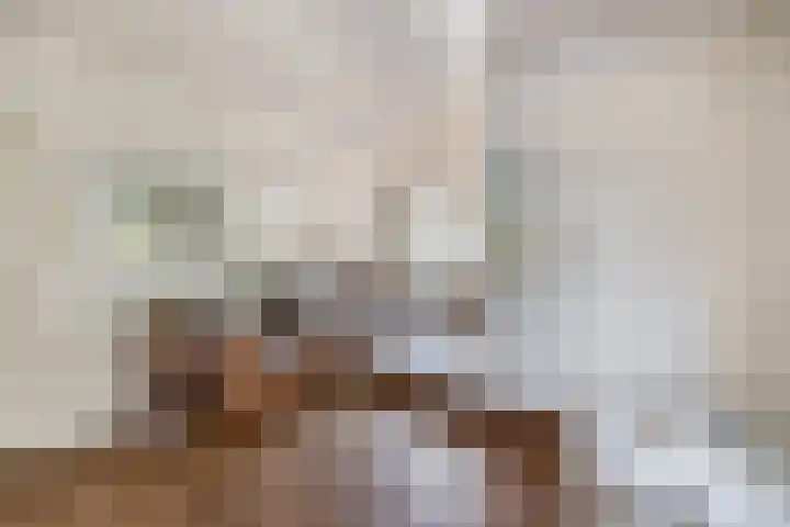 Beneden Veensloot 9 Meeden thumbnail 13