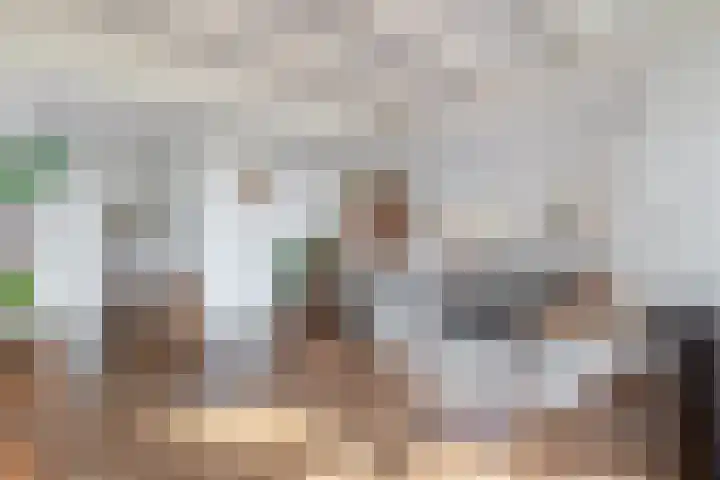 Beneden Veensloot 9 Meeden thumbnail 16