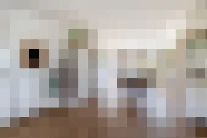 Beneden Veensloot 9 Meeden thumbnail 19