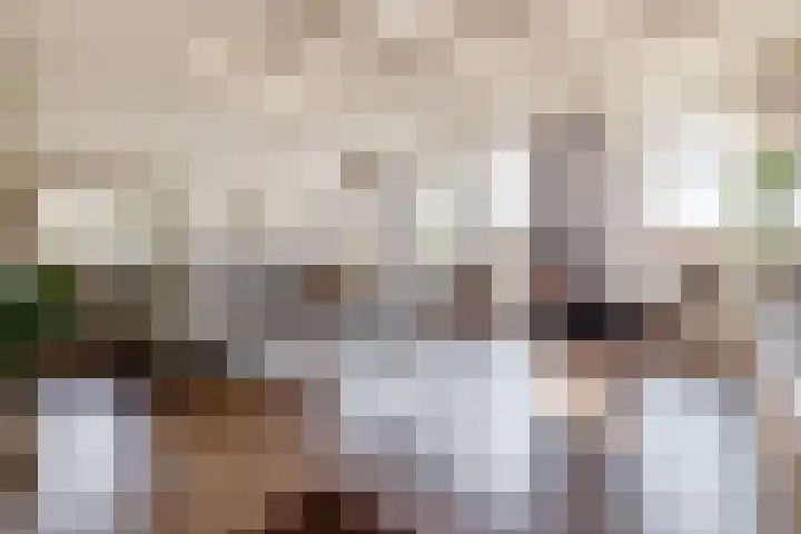 Beneden Veensloot 9 Meeden foto 2