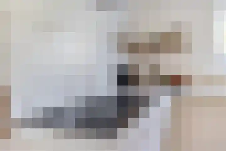 Beneden Veensloot 9 Meeden thumbnail 21