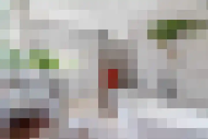 Beneden Veensloot 9 Meeden thumbnail 28