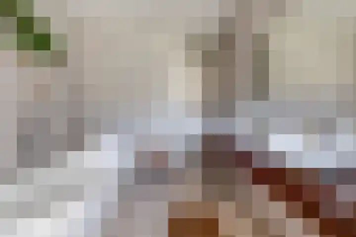 Beneden Veensloot 9 Meeden foto 3