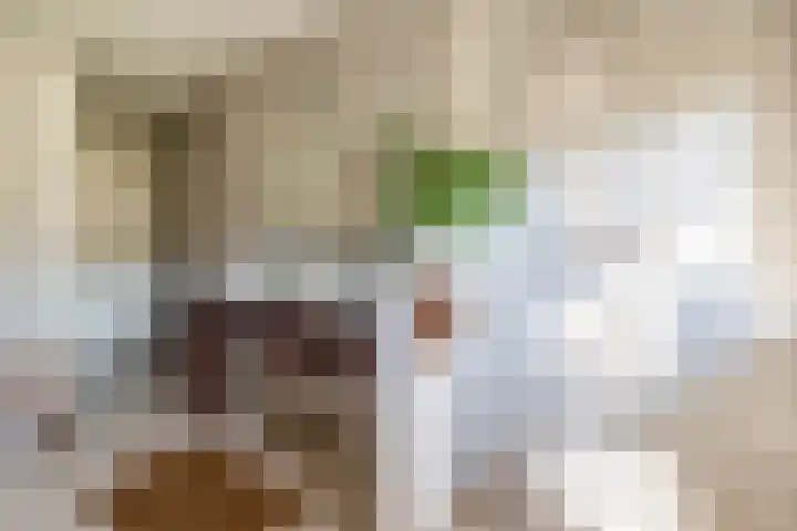 Beneden Veensloot 9 Meeden thumbnail 30