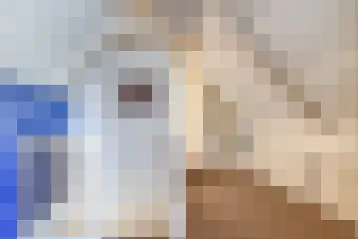 Beneden Veensloot 9 Meeden thumbnail 34