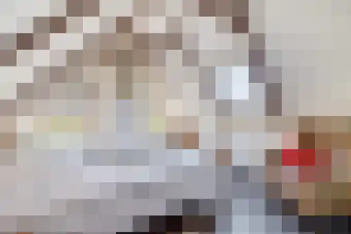 Beneden Veensloot 9 Meeden thumbnail 38