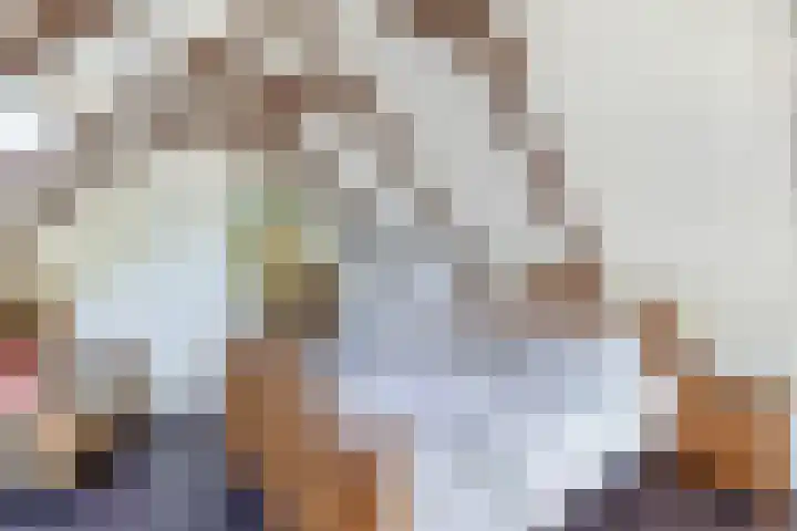 Beneden Veensloot 9 Meeden thumbnail 39