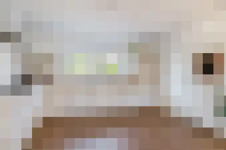 Beneden Veensloot 9 Meeden thumbnail 4
