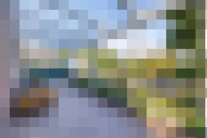 Beneden Veensloot 9 Meeden thumbnail 43