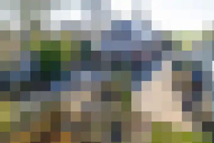 Beneden Veensloot 9 Meeden thumbnail 44