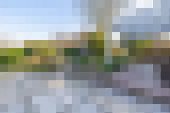 Beneden Veensloot 9 Meeden thumbnail 45