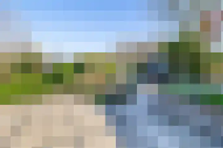 Beneden Veensloot 9 Meeden thumbnail 46