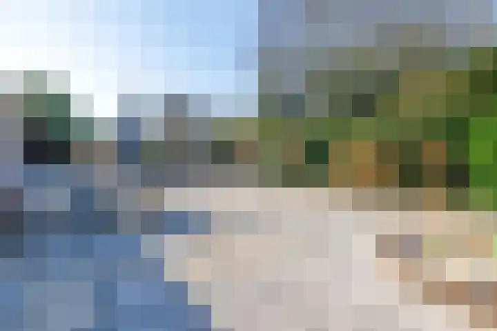 Beneden Veensloot 9 Meeden thumbnail 47